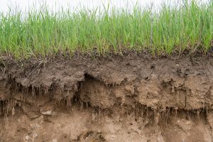 Changes to Soil Sample Services