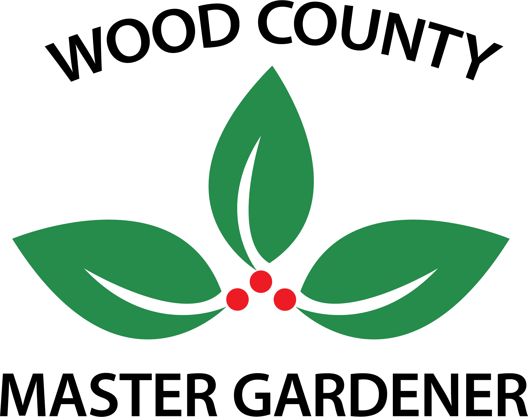 Wood County Master Gardener logo. Three leaves with 3 red berries.